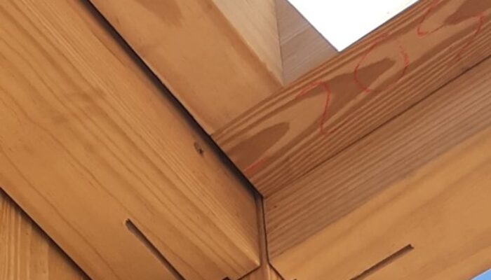 Madeira Engenheirada ganha espaço na construção como alternativa sustentável ao aço e ao concreto